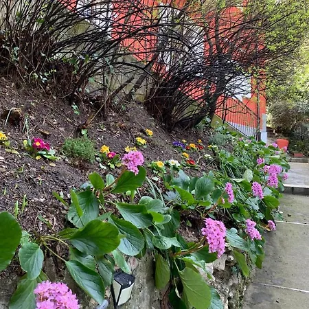 Casa In Con Piscina, Giardino E Posto Auto