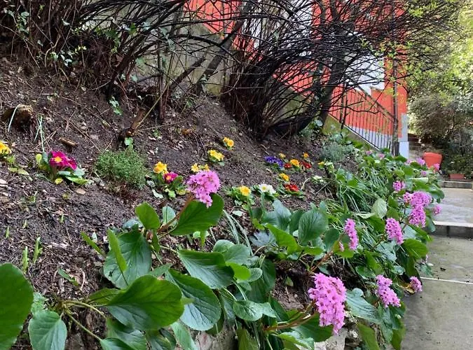 Casa In Con Piscina, Giardino E Posto Auto
