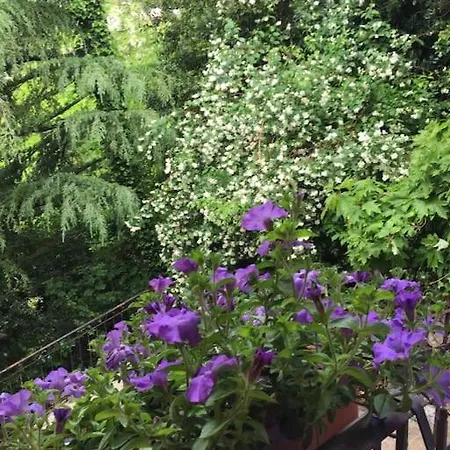 Casa In Con Piscina, Giardino E Posto Auto Daire Trieste
