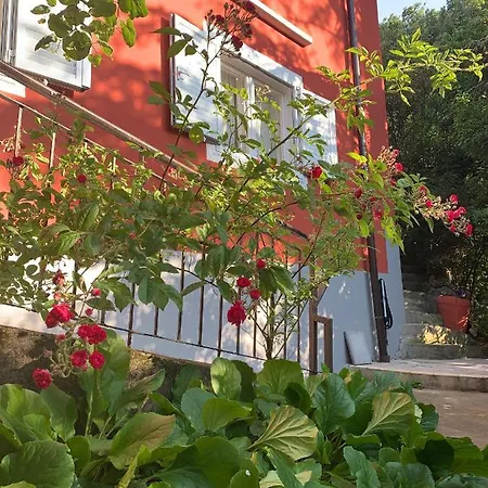 Casa In Con Piscina, Giardino E Posto Auto Lägenhet Trieste